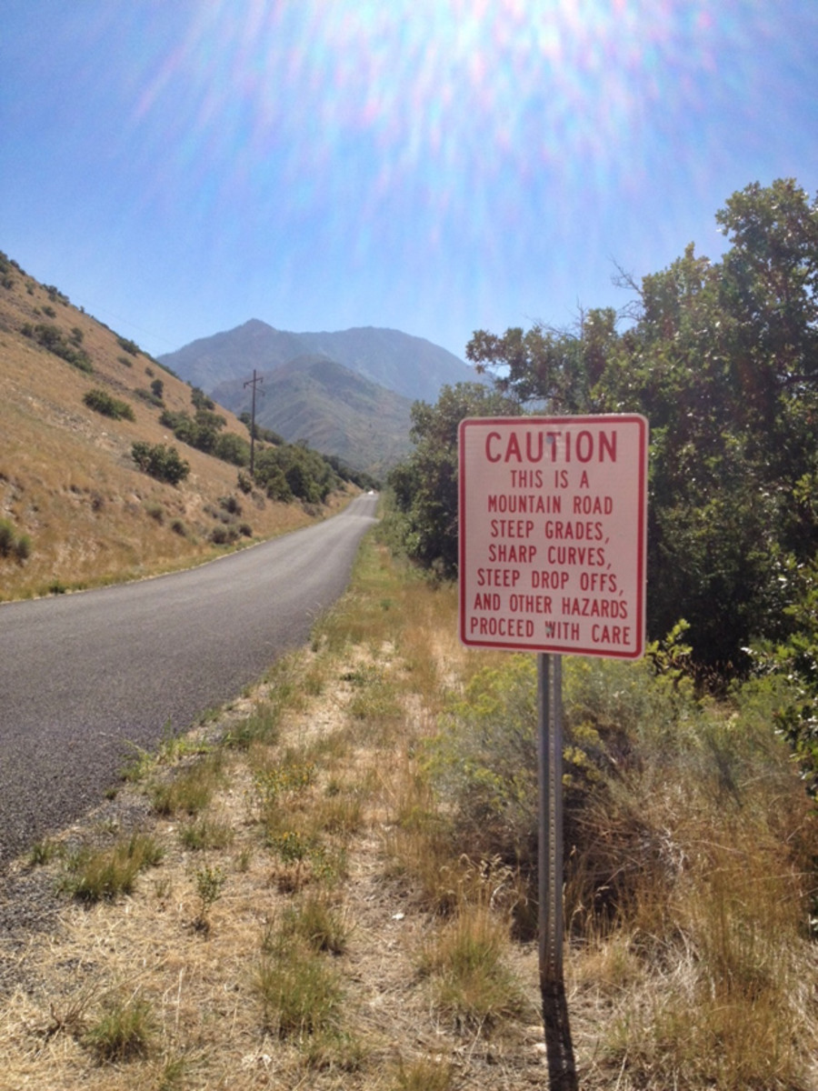 Signs This is exactly why we've chosen this road