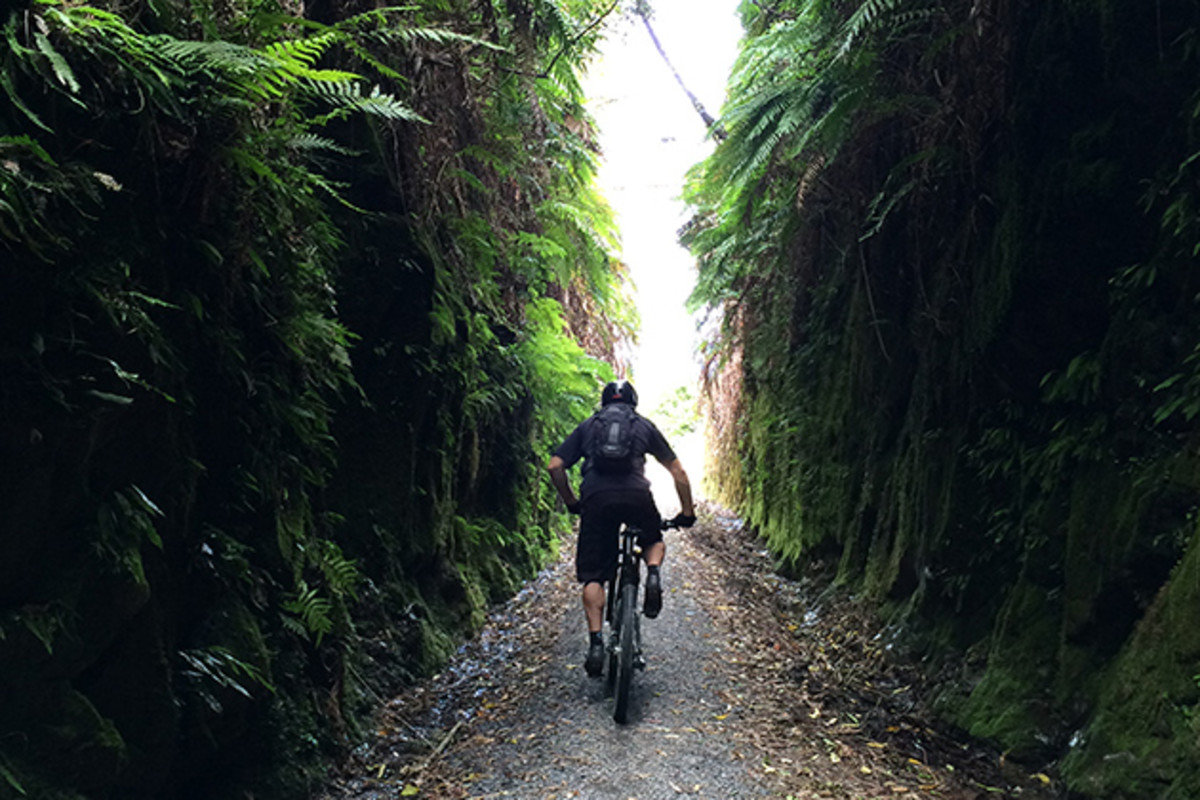 Through tunnels of trees, and tunnels cut of stone, the entire ride is a meditation on varieties of the color green… PHOTO: Mike Ferrentino