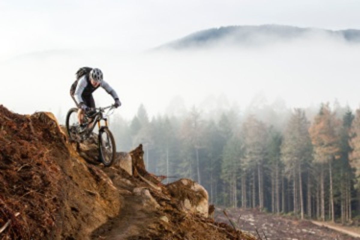 Gary Sullivan, otherwise known as St. Gaz of Rotovegas, seen here in his natural habitat of Whakarewarewa forest, testing out his Dobies. Tough work, but someone's gotta do it. PHOTO: Graeme Murray