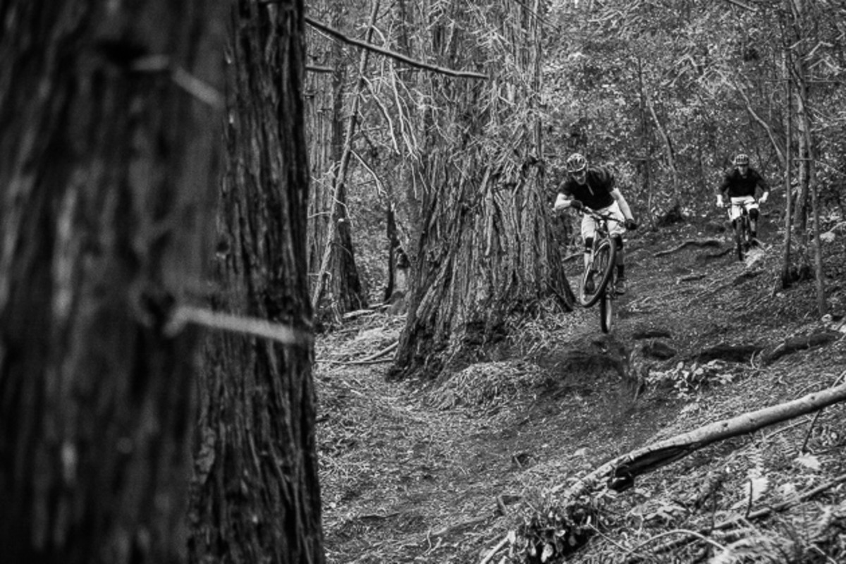 Norbs chased Hunter down one step-down after another.