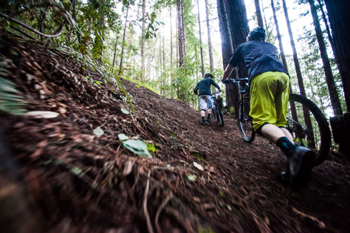 Norbs and Hunter never mind pushing back up the hill again when there is a high-speed descent to follow....