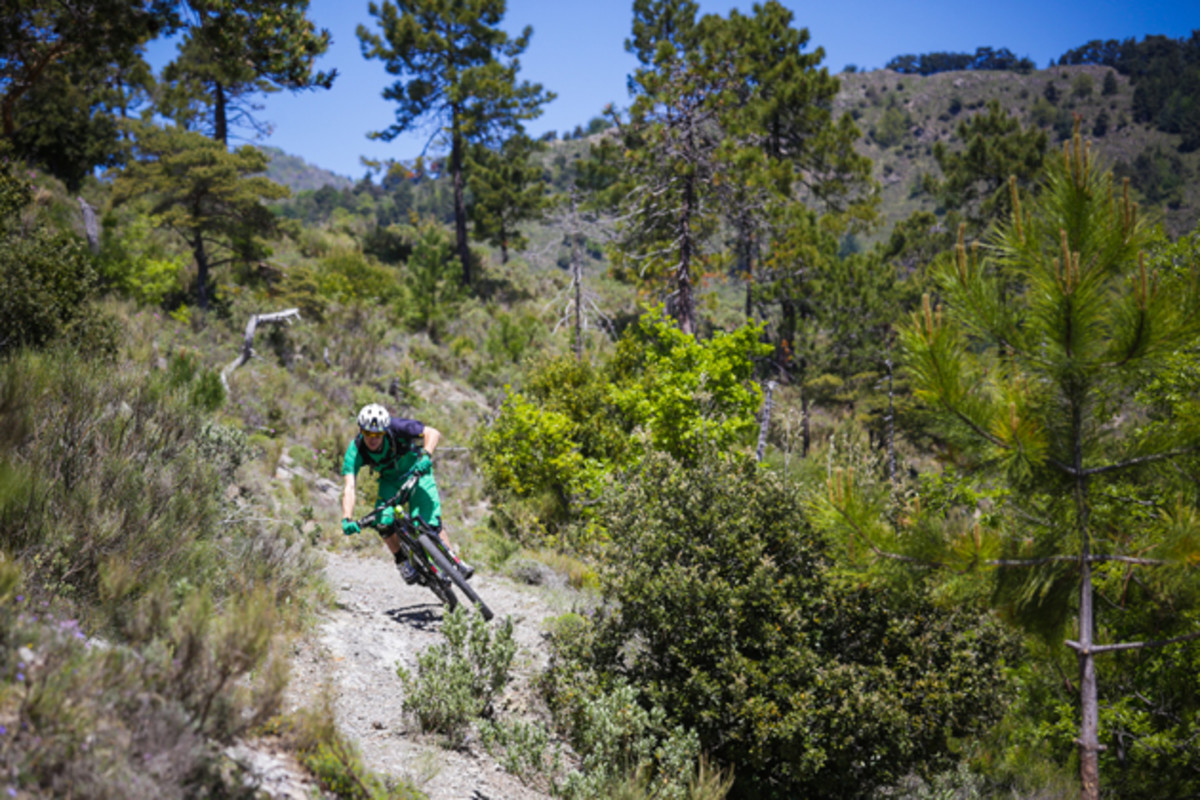 Reigning Enduro World Series Champion Jerome Clementz played an active role in the development and testing of the new Crossmax XL wheels. And he is not known for holding back while riding his bike.