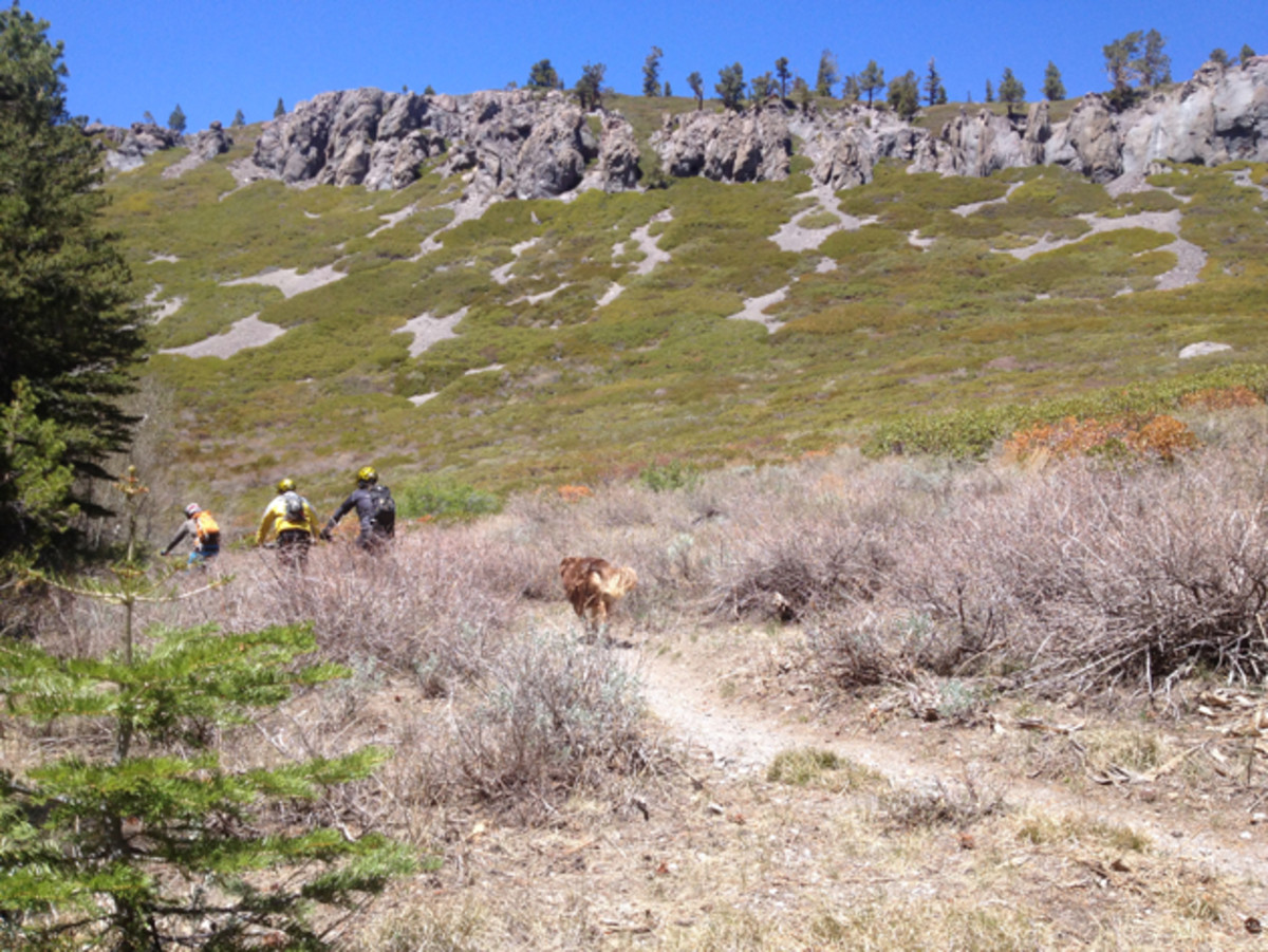 A good trail dog is the envy of every mountain-town local. | Photo: Nicole Formosa