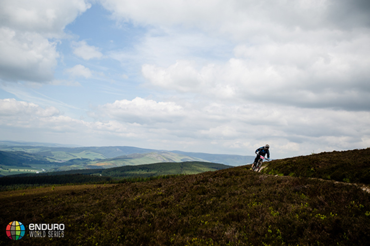Photo by Matt Wragg
