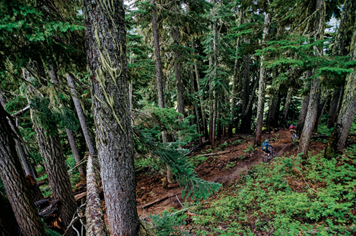 The park opened for the first full season in 2012 with five trails.