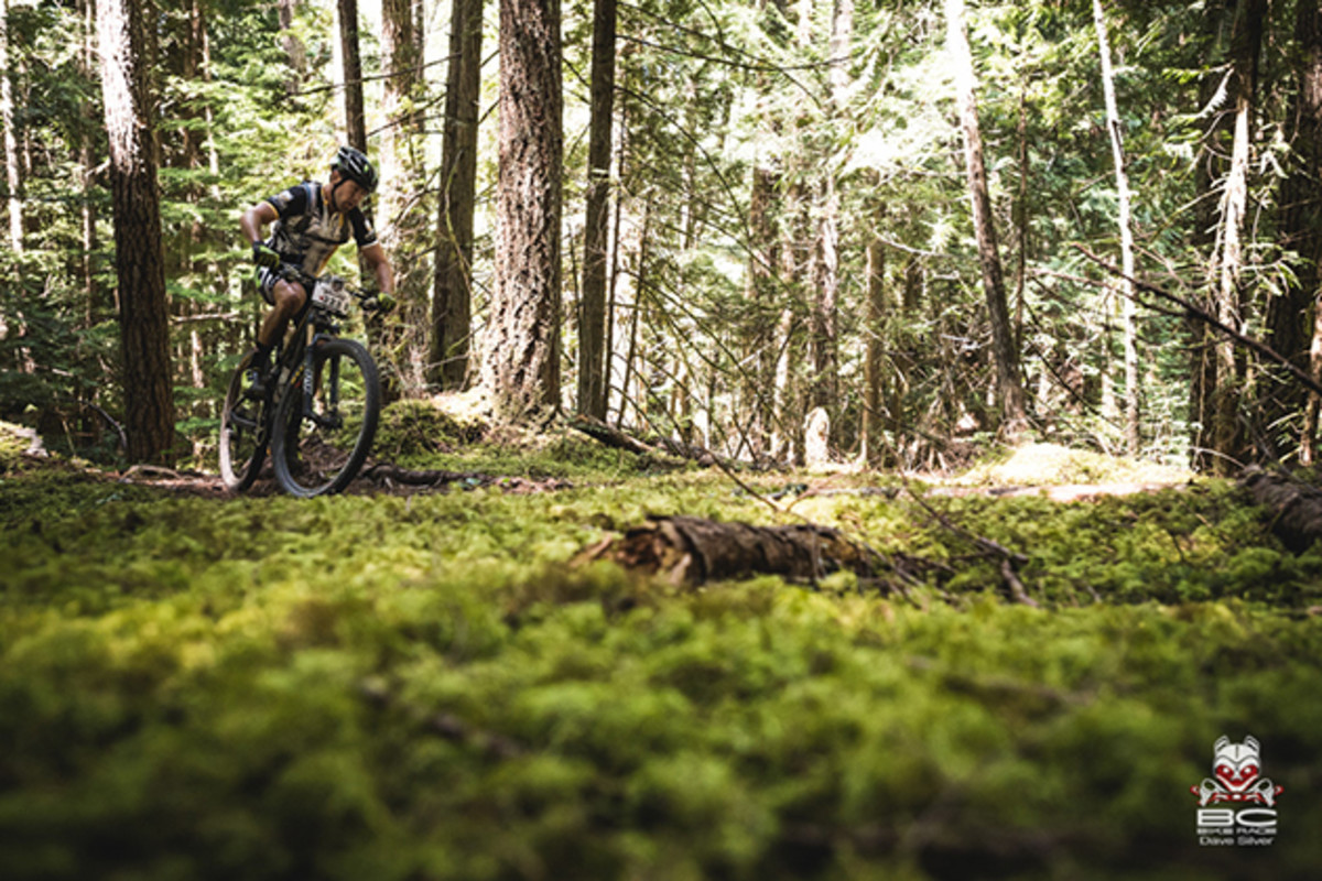 Wherever you go there is moss in British Columbia. | Photo by Dave Silver