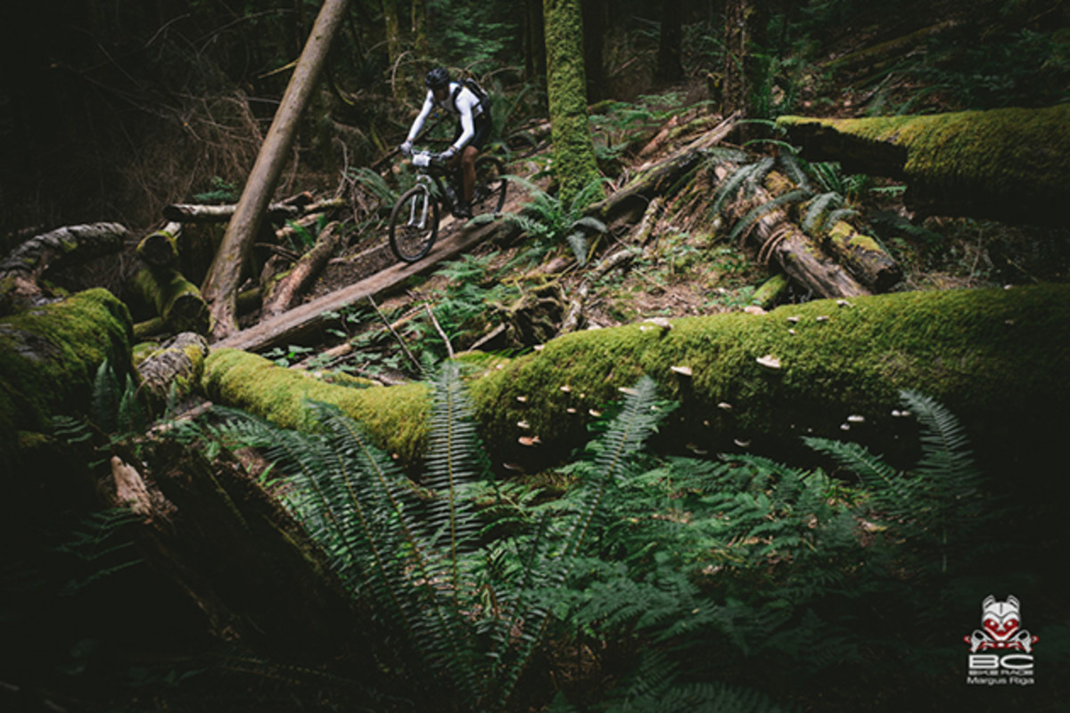The trail turns downward and manmade features meld into the lush green forest. | Photo by Margus Riga