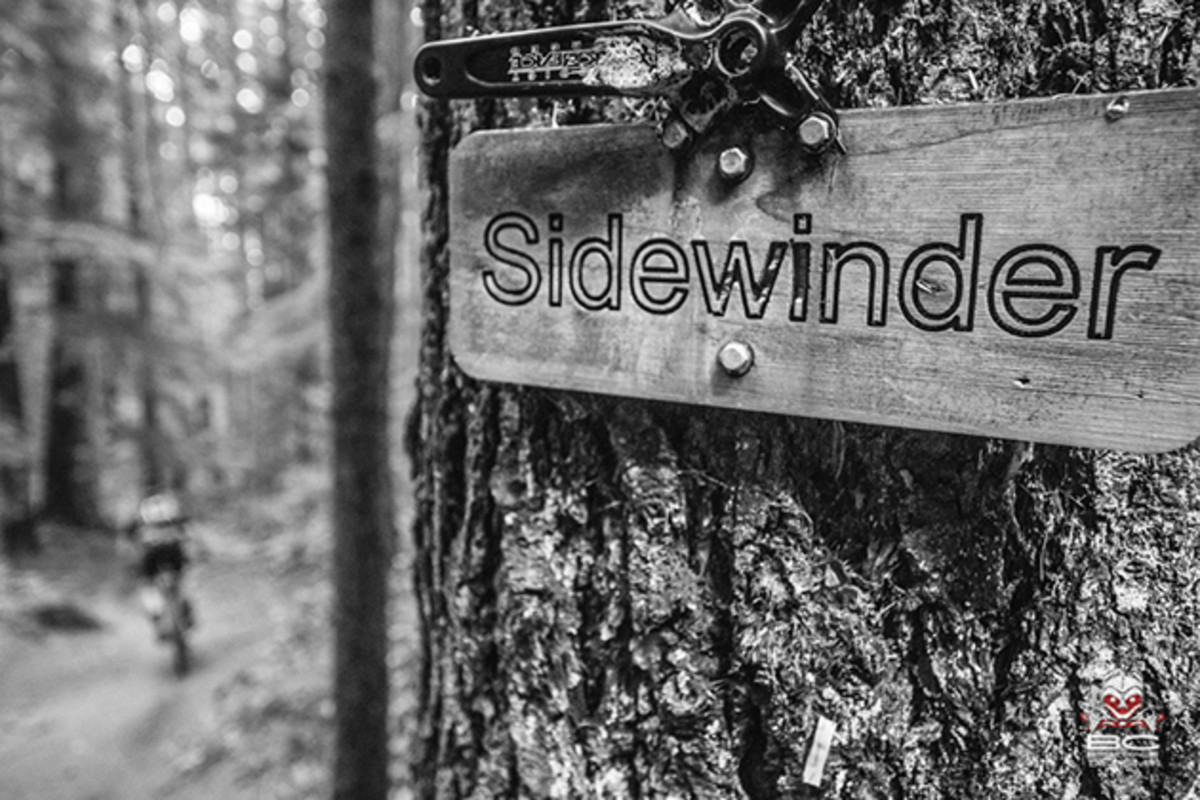 Trail signage - unique and mandatory | Photo by Dave Silver