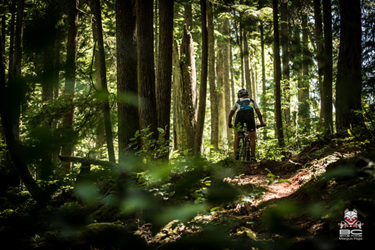 Alone time in the woods. | Photo by Margus Riga