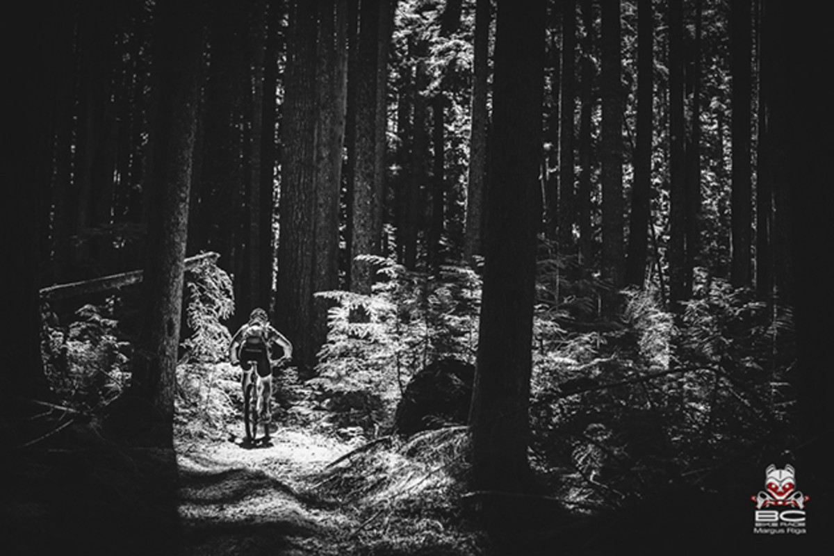Sunlight dapples through the trees. | Photo by Margus Riga