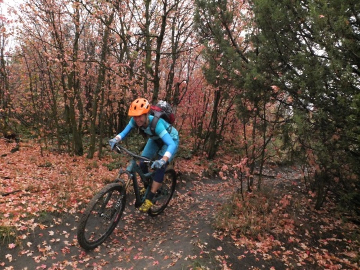 A trail like this is definitely worth stopping for on the way through town.