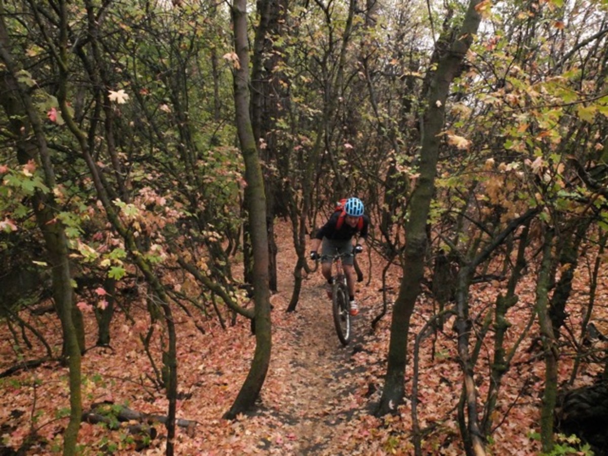Bilbo Baggins emerges from Pocatello's City Creek trail.