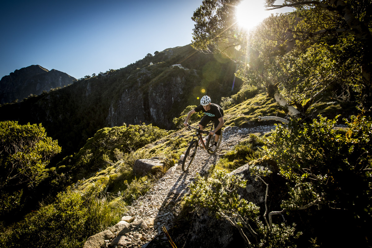 cinelli 2020 catalogue