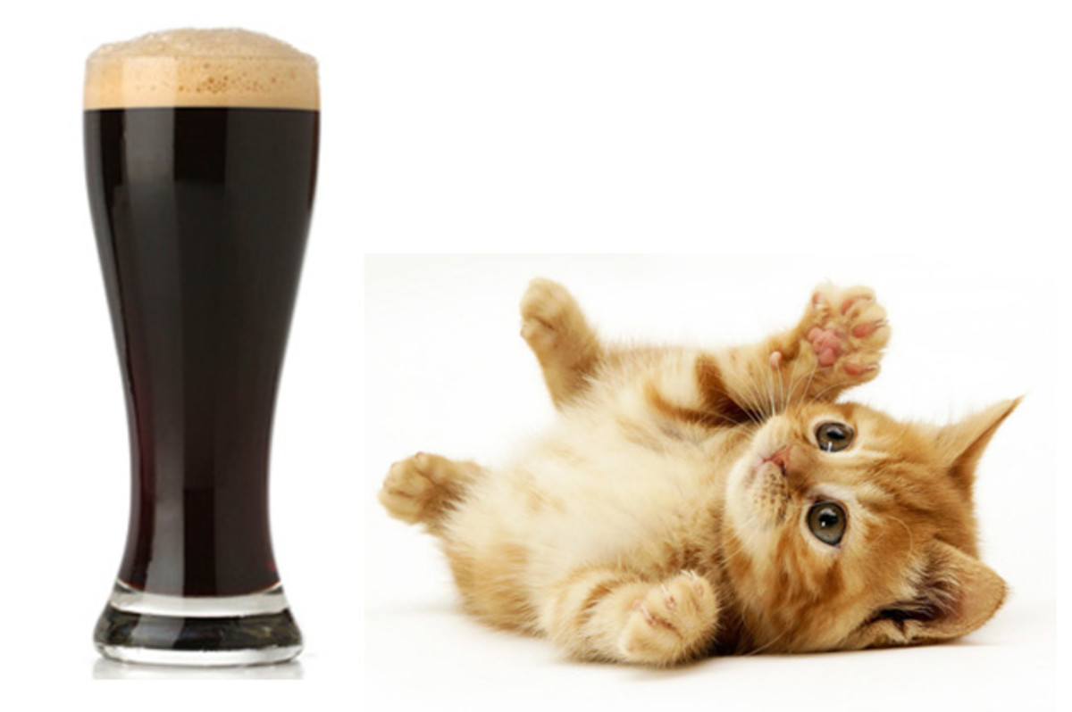 Beer is not to be feared. Loved? Yes. Worshipped by kittens? Devoutly. Beer demands your respect and admiration.