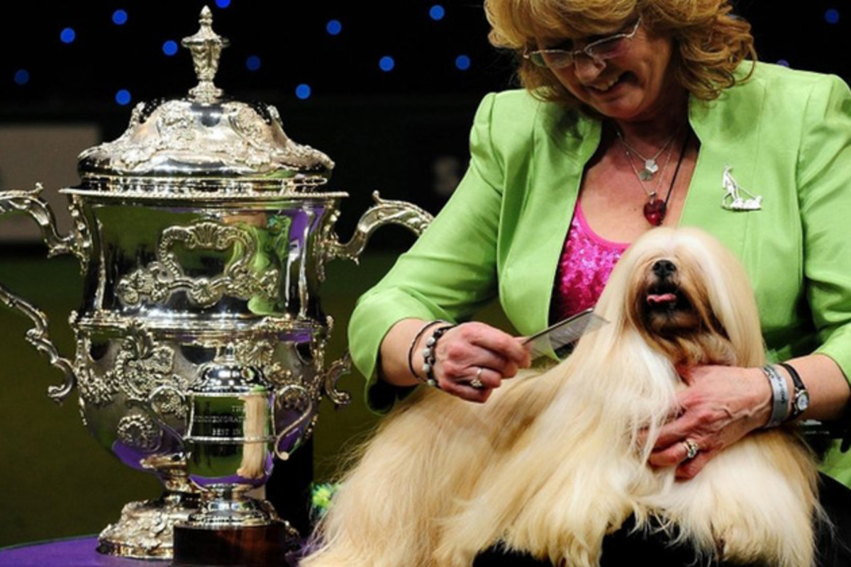 When was the last time a dog was picked as "Best in Show" and it didn't make you hate the world? Yet another specious use of the word "best".