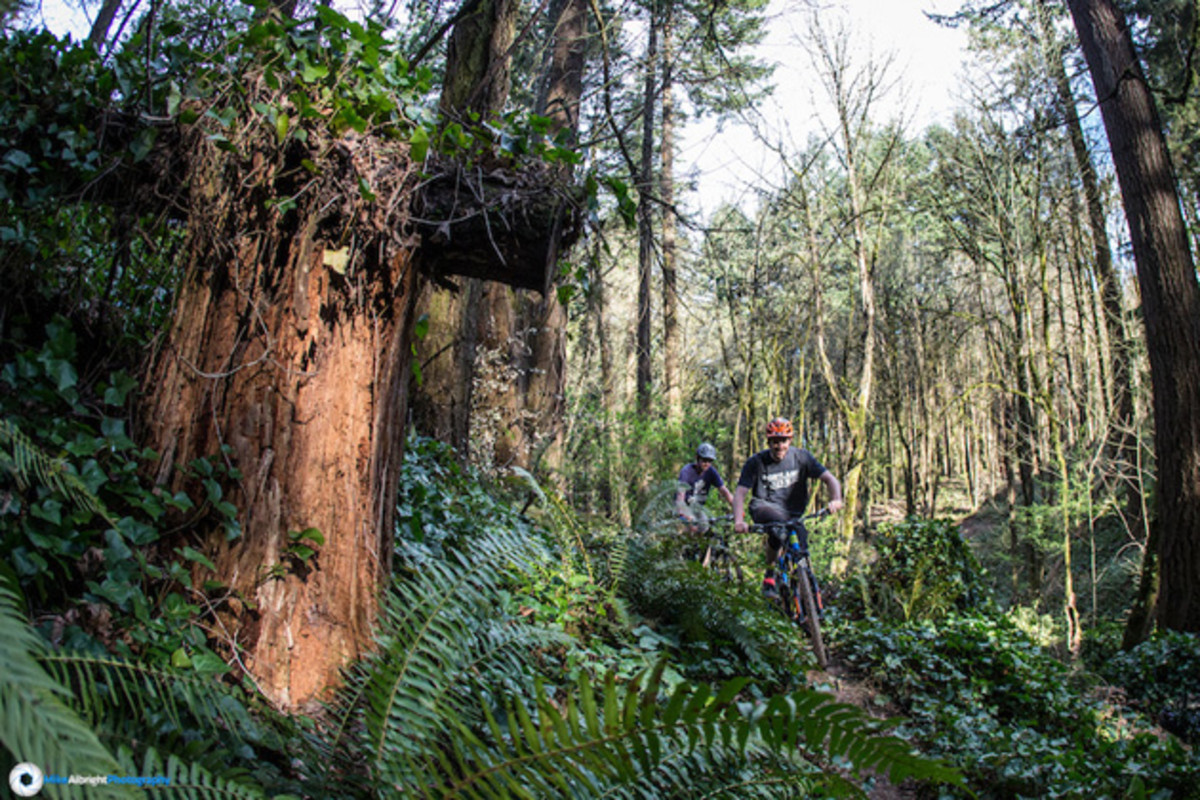 River View may not have been a "mecca" of mountain biking, but it's roughly 7 miles of singletrack were just about all that Portland riders could call home.