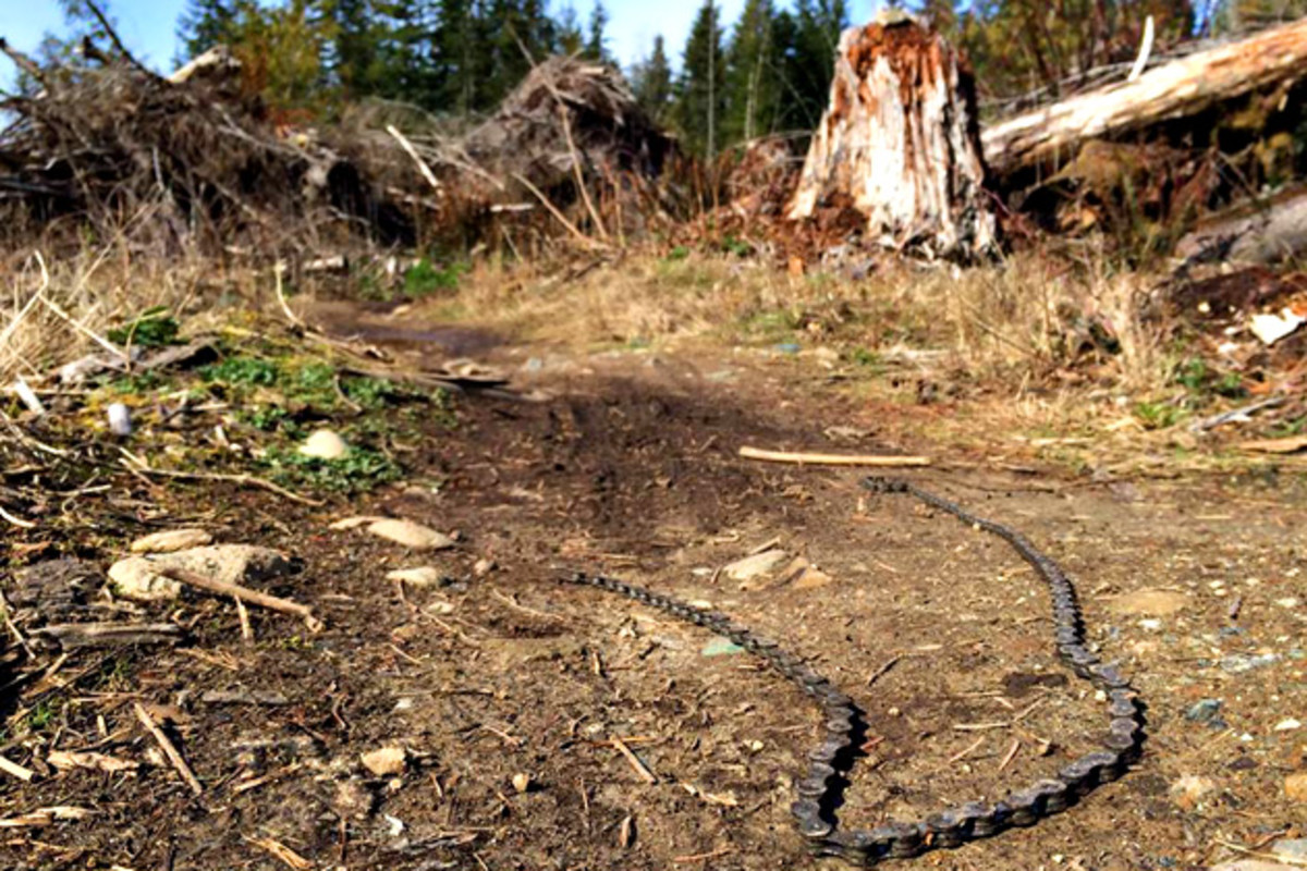 This–this right here–is why I pack the Missing Link. Actually, I forgot to pack it this time around and re-discovered how much I hate running.