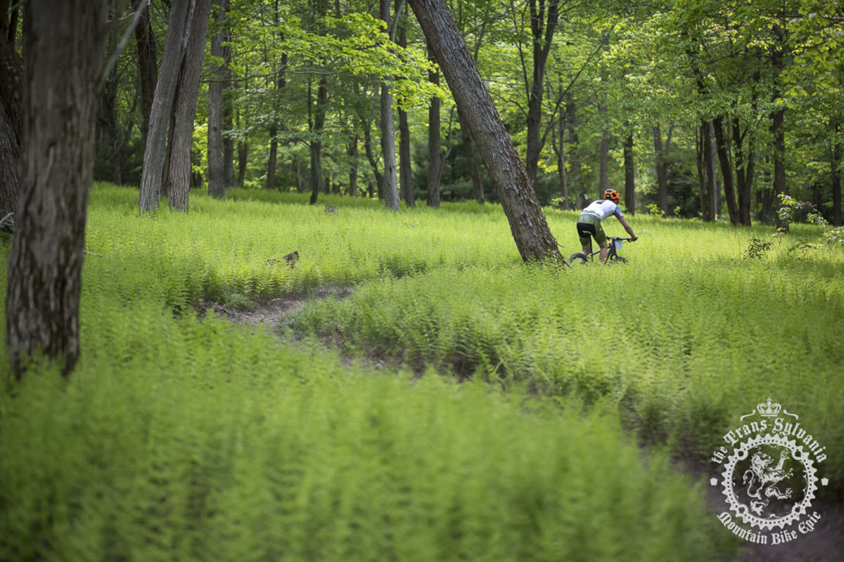Trans-Sylvania Epic 2015