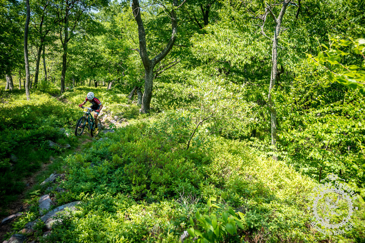 Tristan Uhl (Cometitive Cyclist) maneuvers through the rocks of Tussey Ridge.
