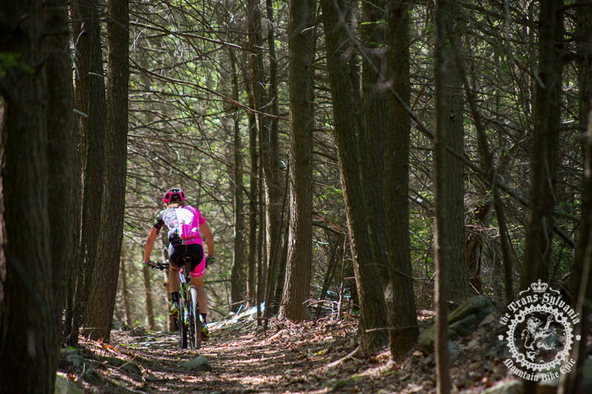 Trans-Sylvania Epic Stage Two
