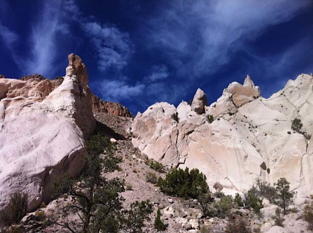 Future trailside terrain.