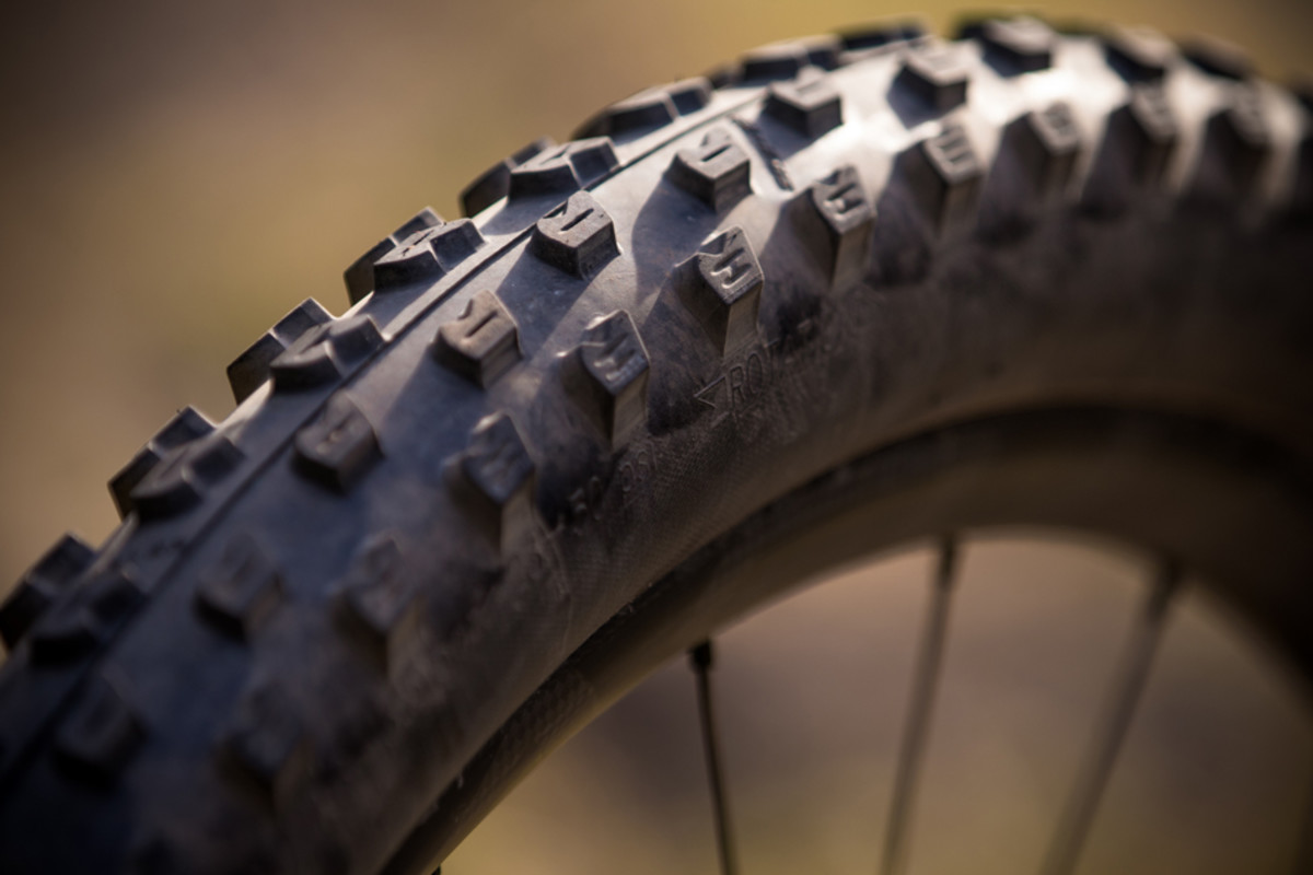 Shwalbe Fat Albert Review