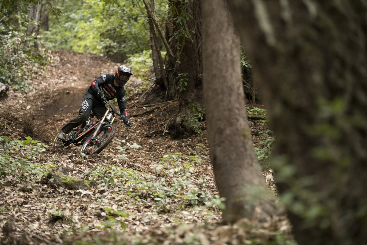 Luca Shaw. Photo: Gary Perkin