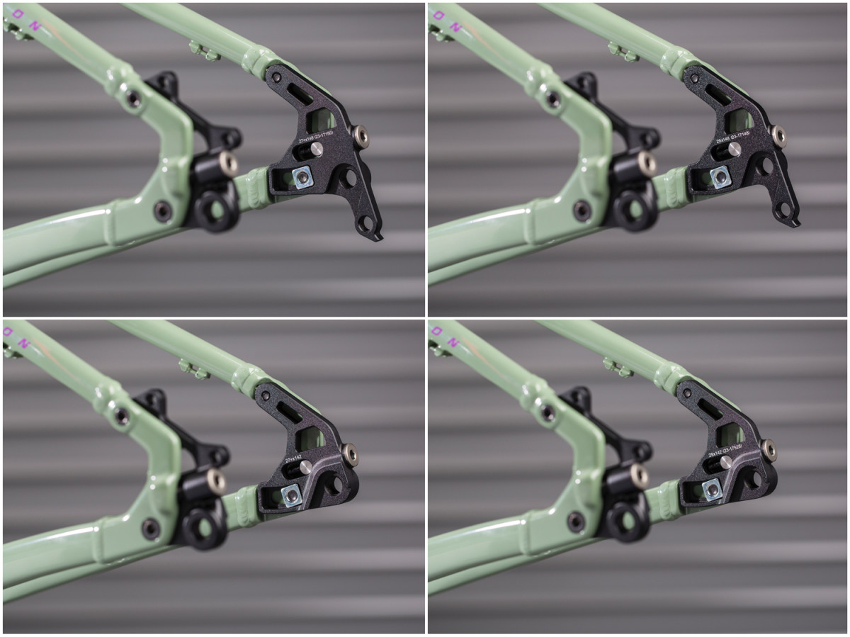 Santa Cruz Chameleon