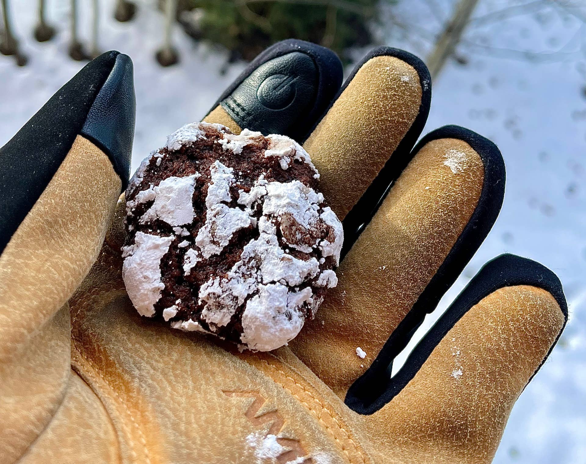 Single Thread Snacks Singletrack Snacks: Chocolate Peppermint Crinkle Cookies - BikeMag
