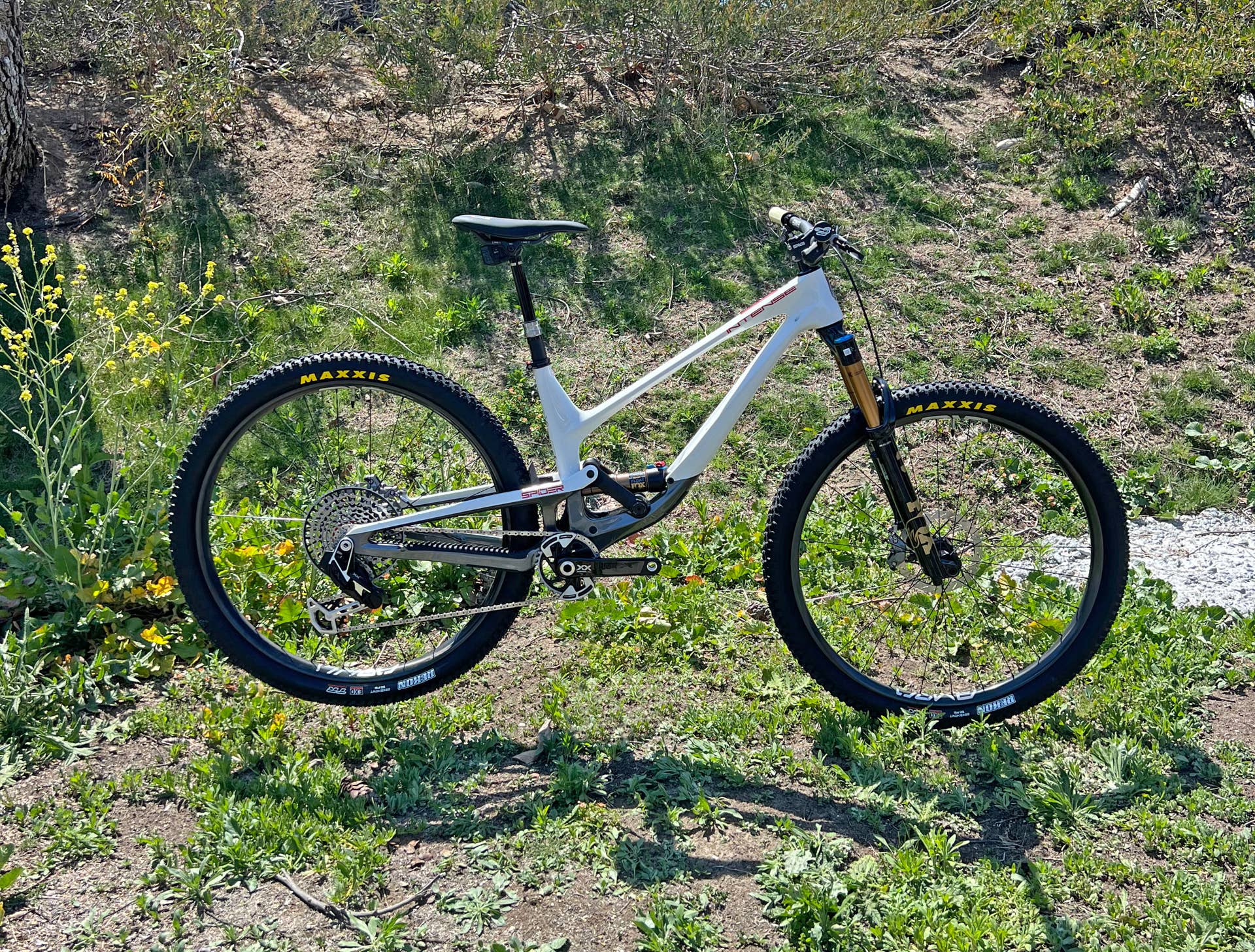 An Awesome New Trail Bike From Intense - BikeMag