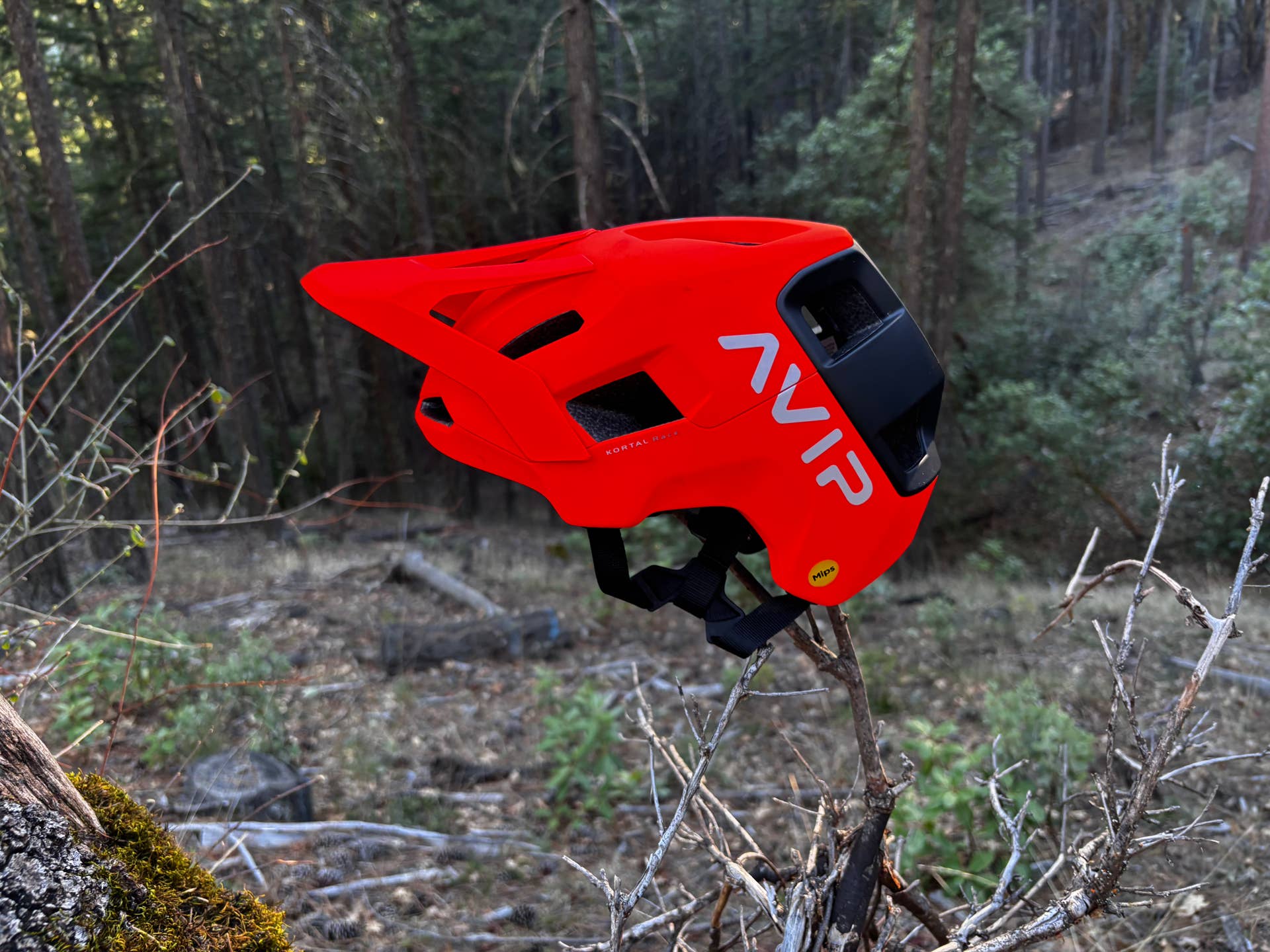 top gear alte besetzung Former 'Top Gear' Hosts' Amazon Series Gets Launch Date Herren Trekking Fahrradsattel | 29 inch Color:Machined/Orange