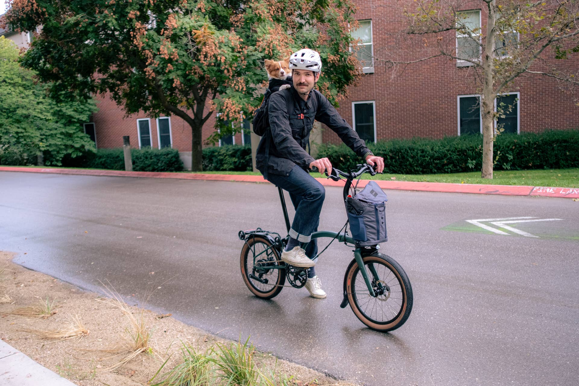 Living With Brompton's New Folding E-Bike - BikeMag