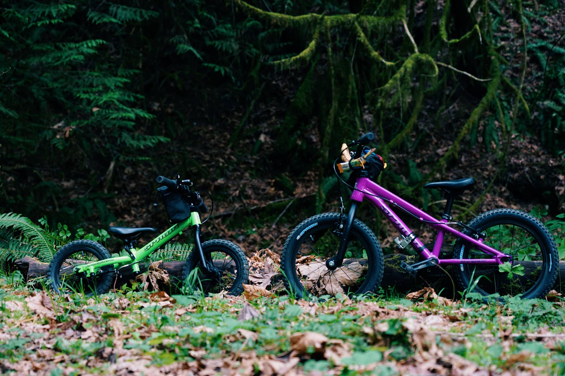 5 Countries, 3 Continents, and One Tiny Bike: Our Long-Term Spawn Yoji Review