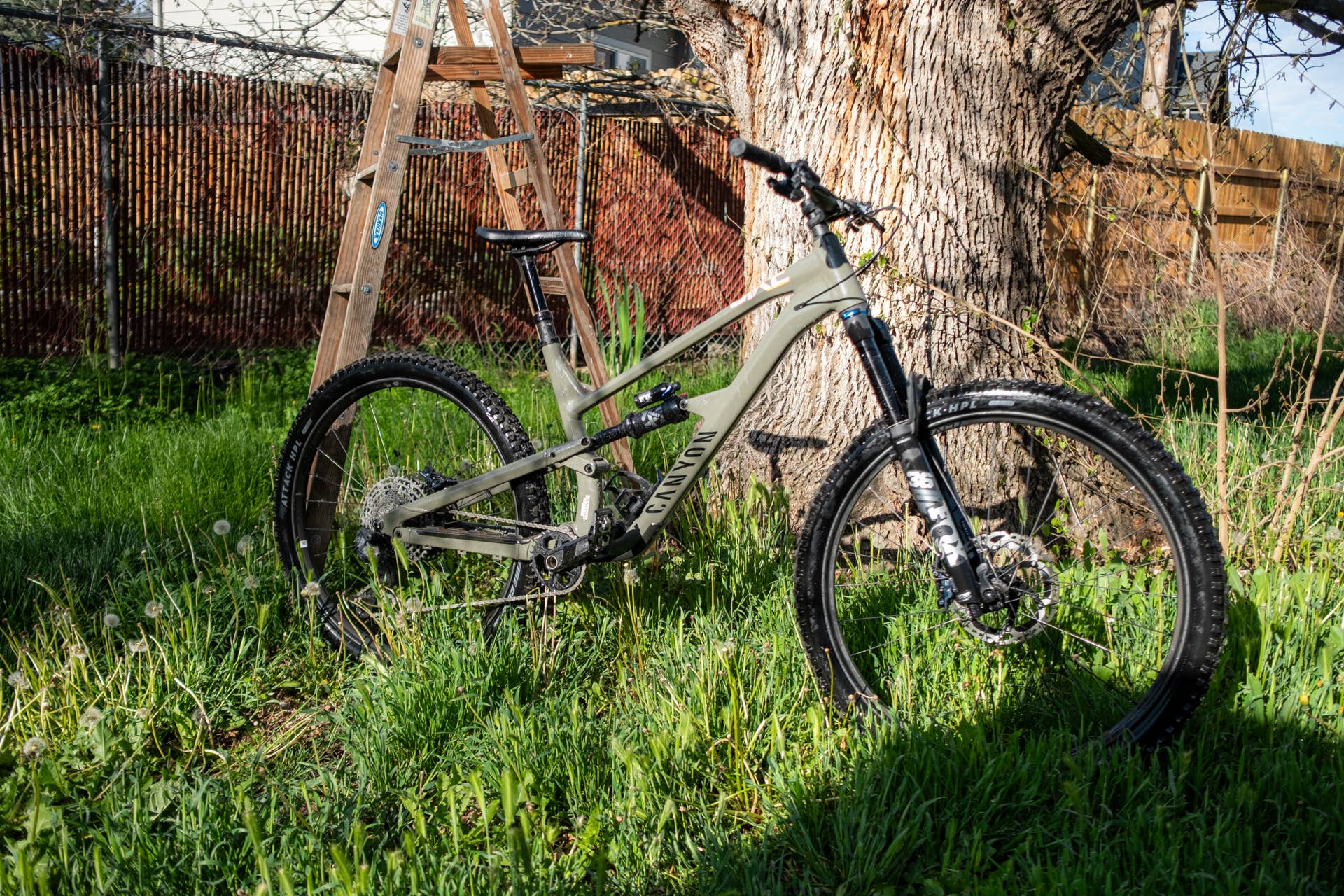 I Rode the Canyon Spectral AL 6 for a Year. Here's the Honest
