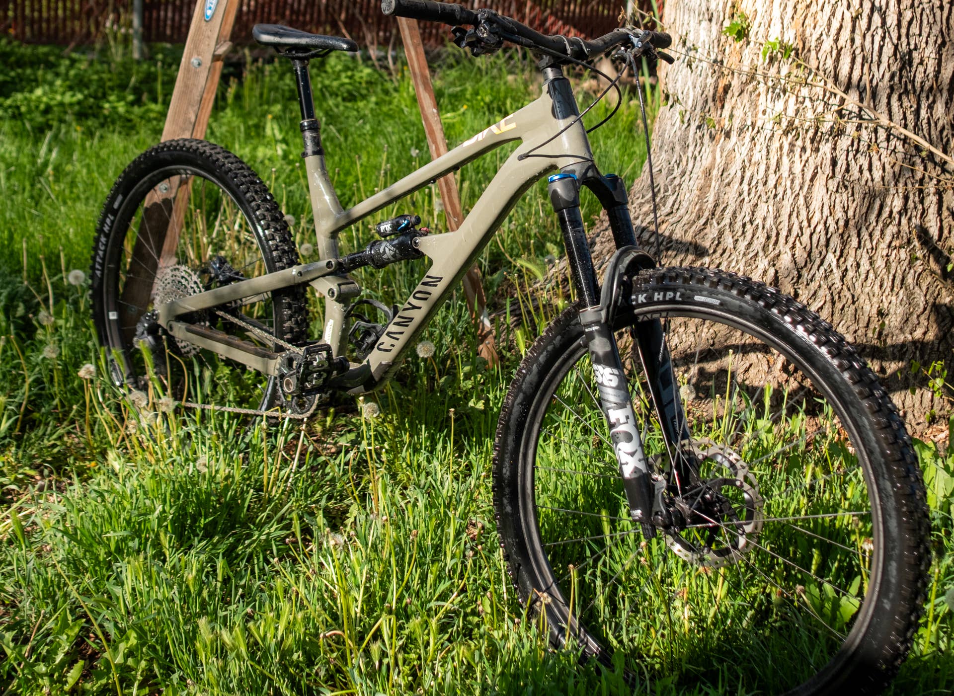 outdoor hängematte regendach PRO HAMMOCK High Quality Ebike Sattelsitzfarbe:Orange 10 Questions to Ask