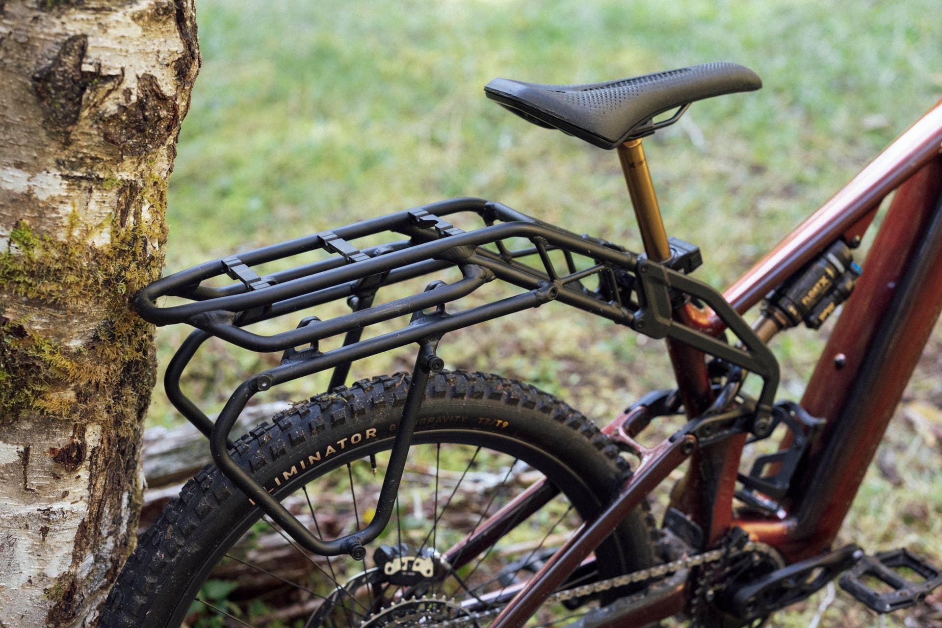 Electric Overlanding? Say Hello to the Specialized Levo 4 X - BikeMag