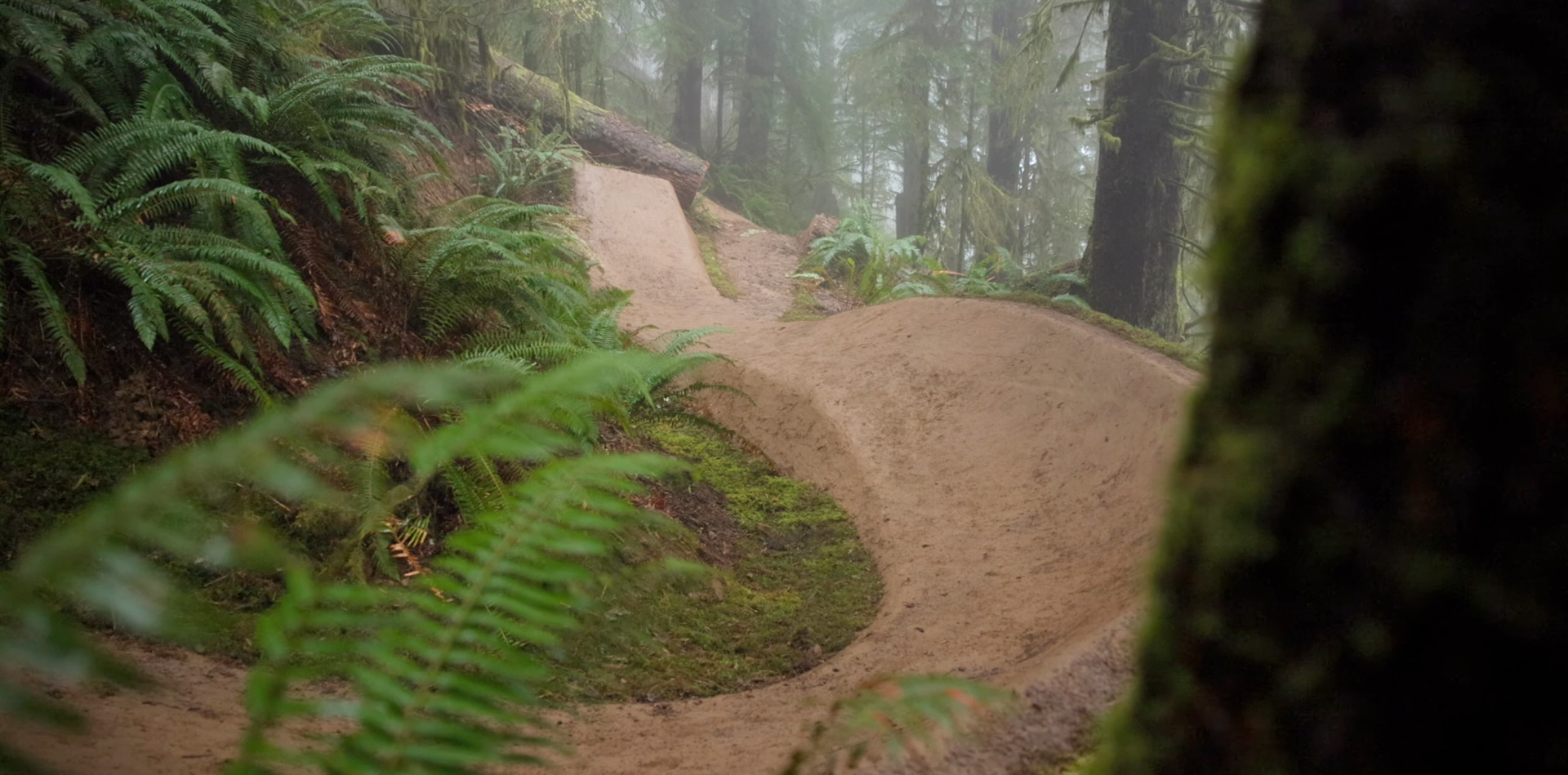 This New Public MTB Trail on the Oregon Coast is a Work of Art