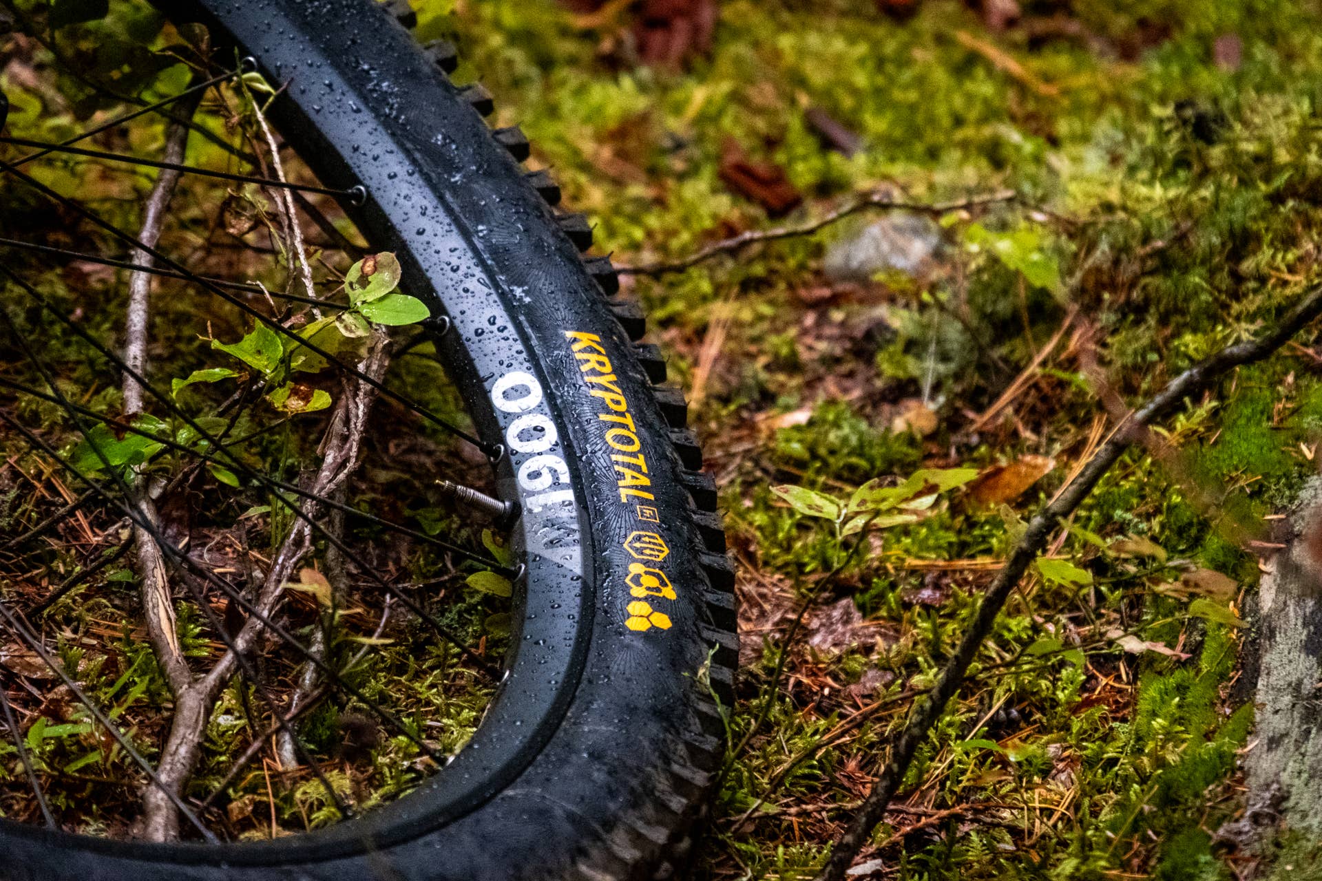 Review: Evil Calling - BikeMag