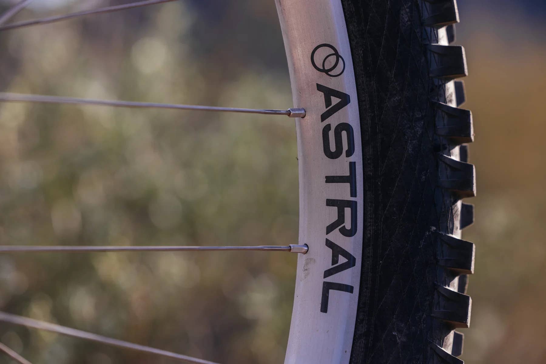 Silver Rims E Bike Oregon Wheel Manufacturer Releases Limited Edition Silver Wheels with ...