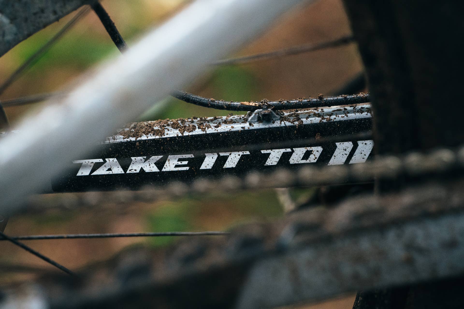 Transition TR11: The Decade-Long Wait for a New DH Bike is Over