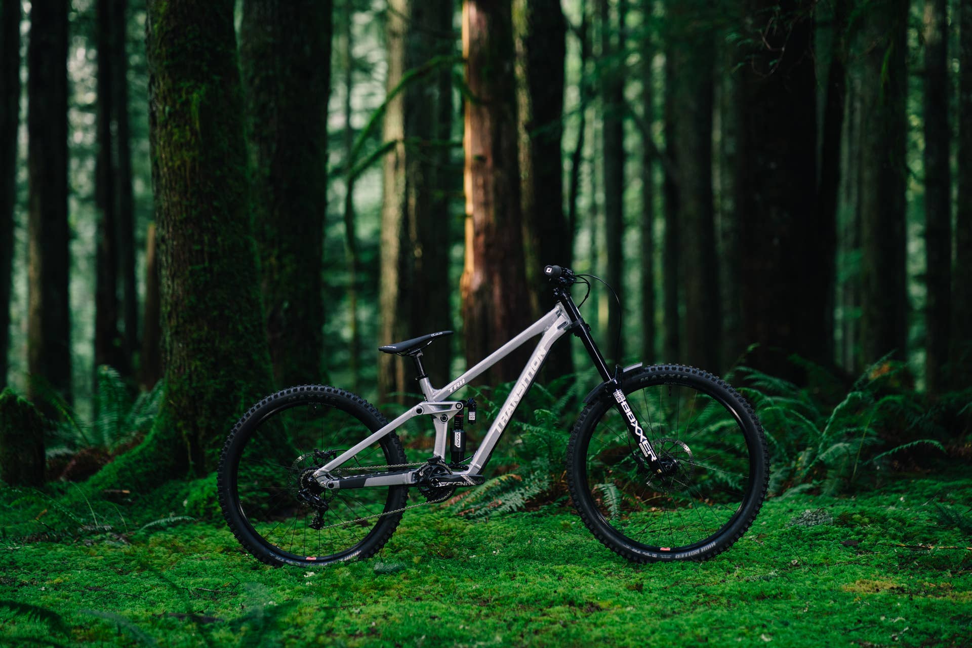 Transition TR11: The Decade-Long Wait for a New DH Bike is Over
