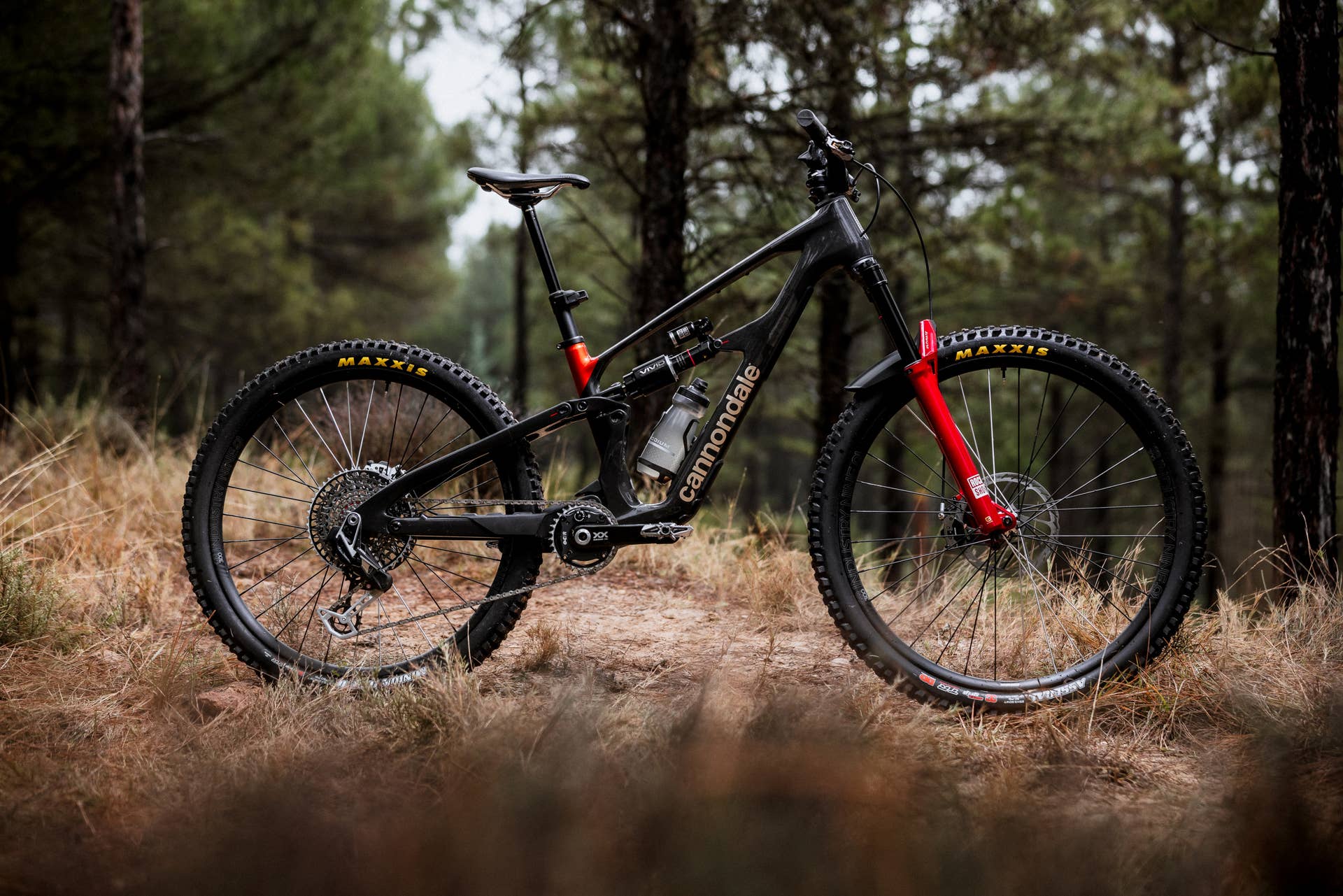 c26_bad_habit_spain_0278.jpg?