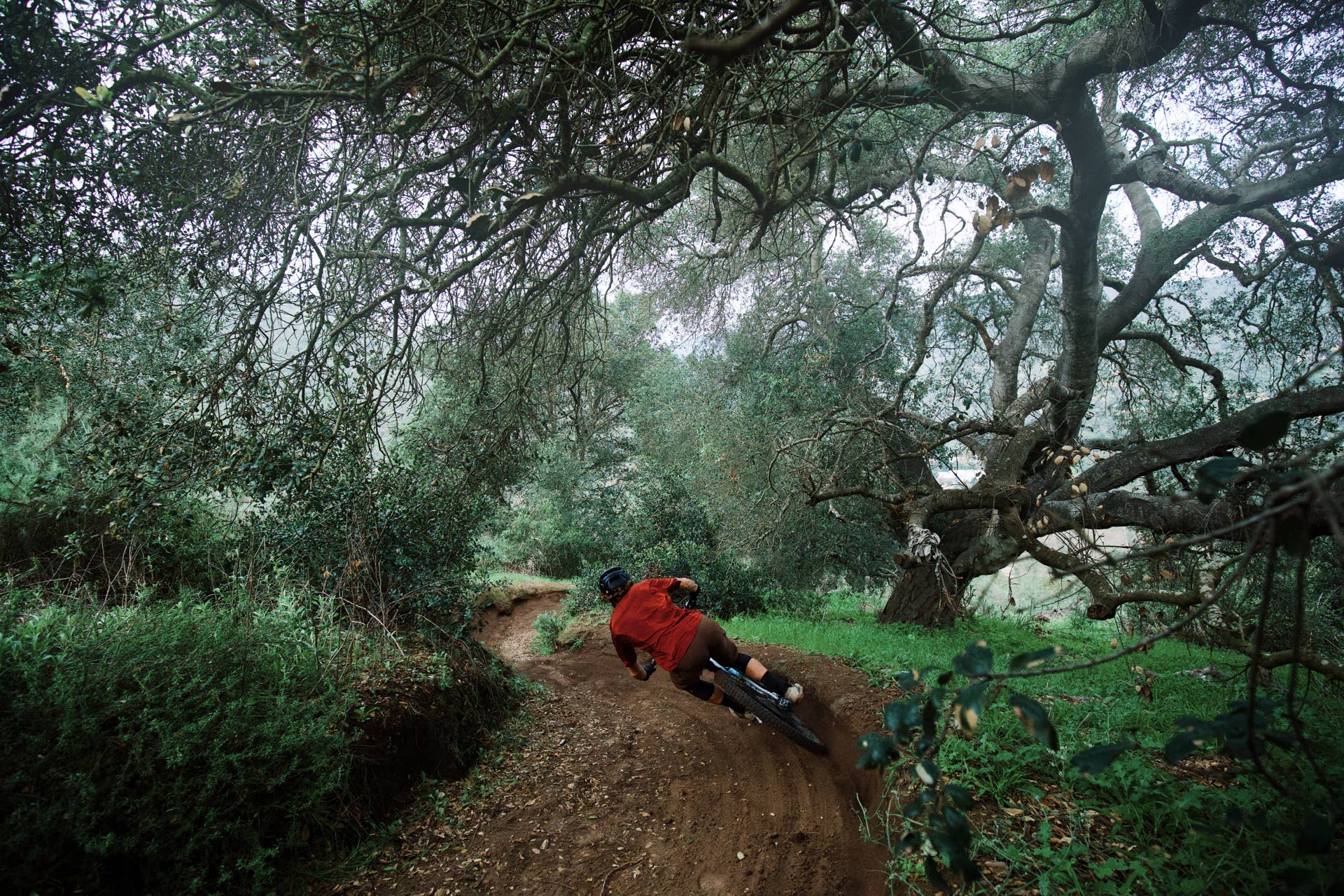 Pro MTB Riders: News, Stats & Wins - BikeMag