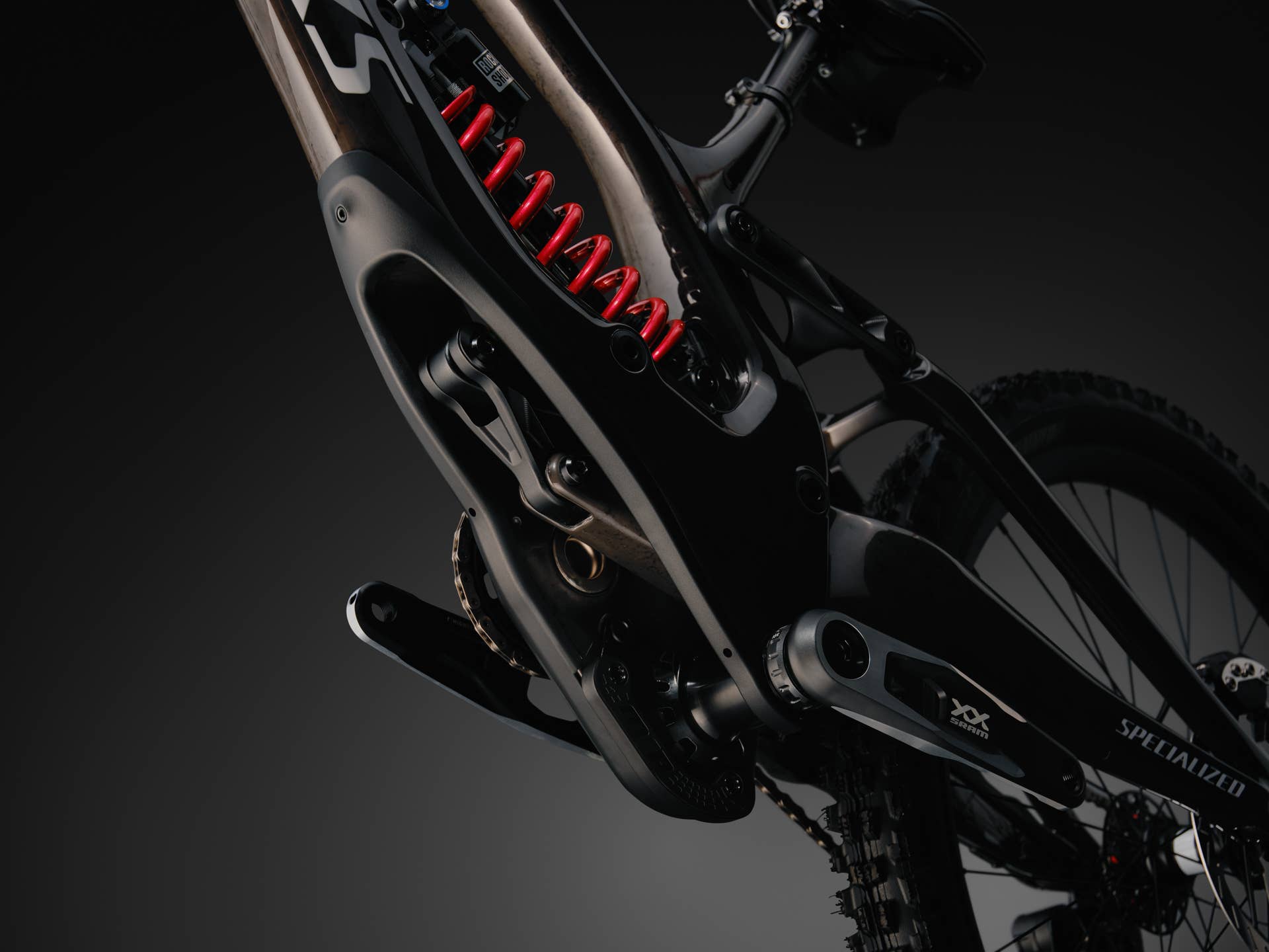 Inside The Specialized Bicycles Demo 11: Peak Downhill Race Bike