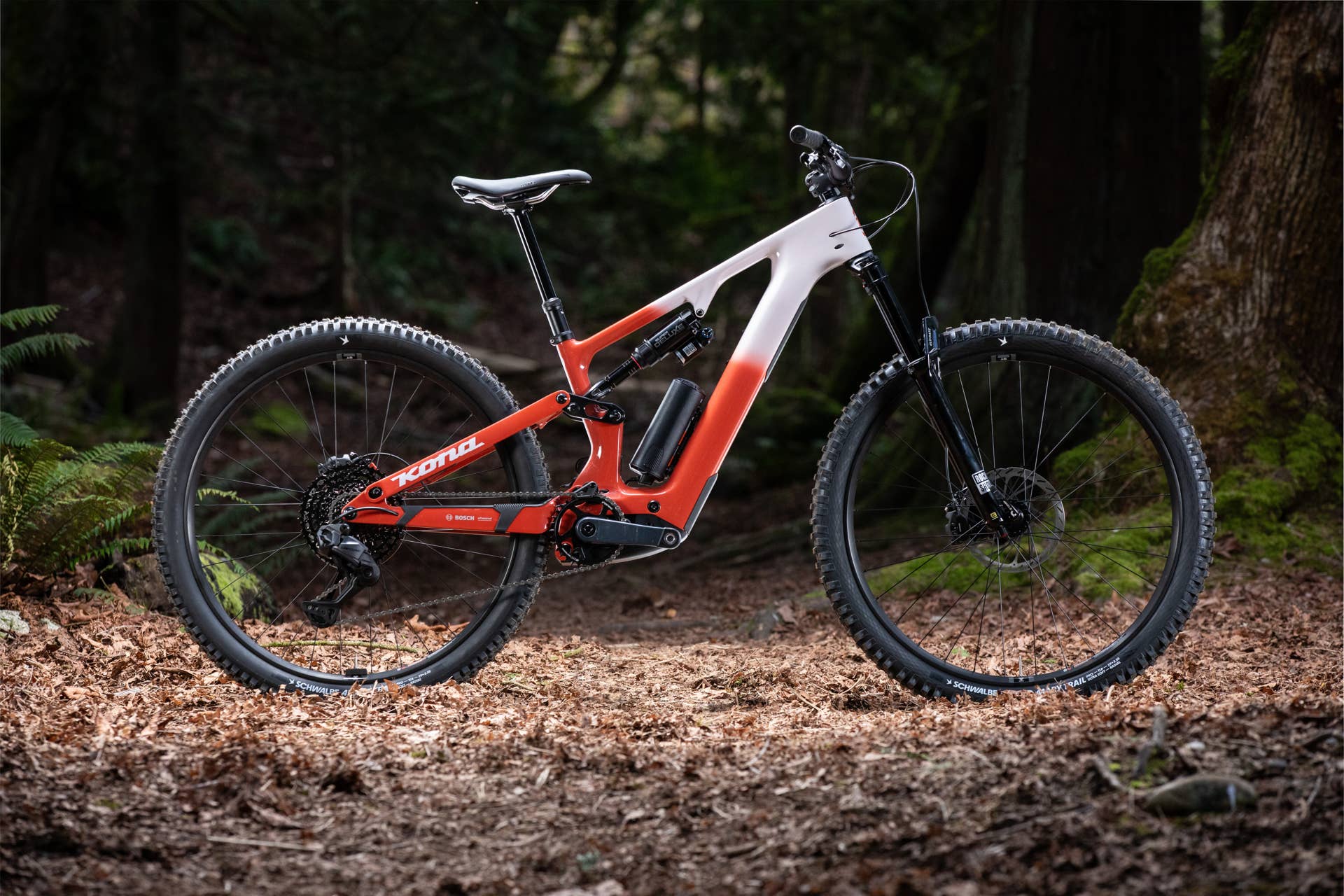 E-MTB - BikeMag
