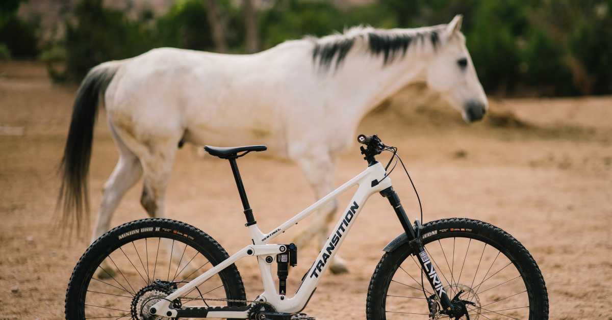 Transition Bikes Sentinel