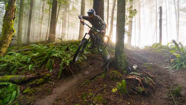 Bikemag new arrivals