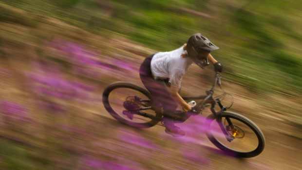 Choosing a mountain bike cheap