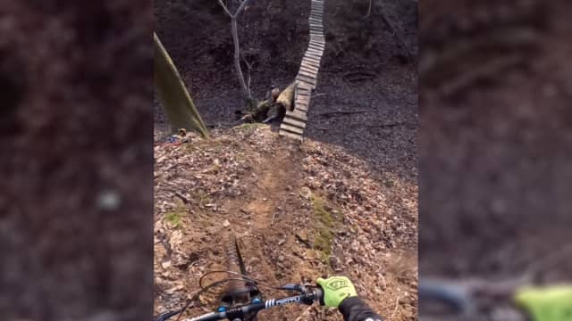 Dead sailor mtb best sale