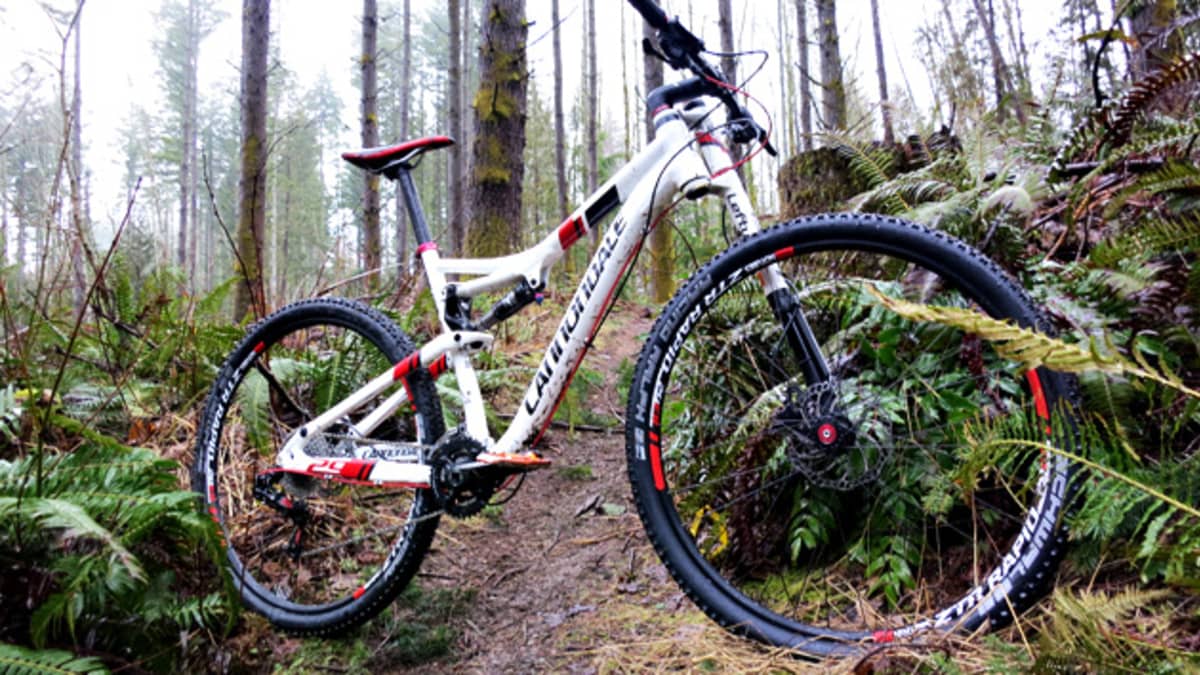 Bike cannondale scalpel 29 cheap